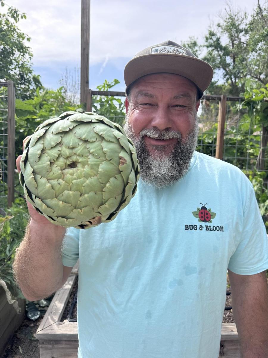 Boyd Worthen, founder of Bug & Bloom, holding a fresh artichoke in his garden