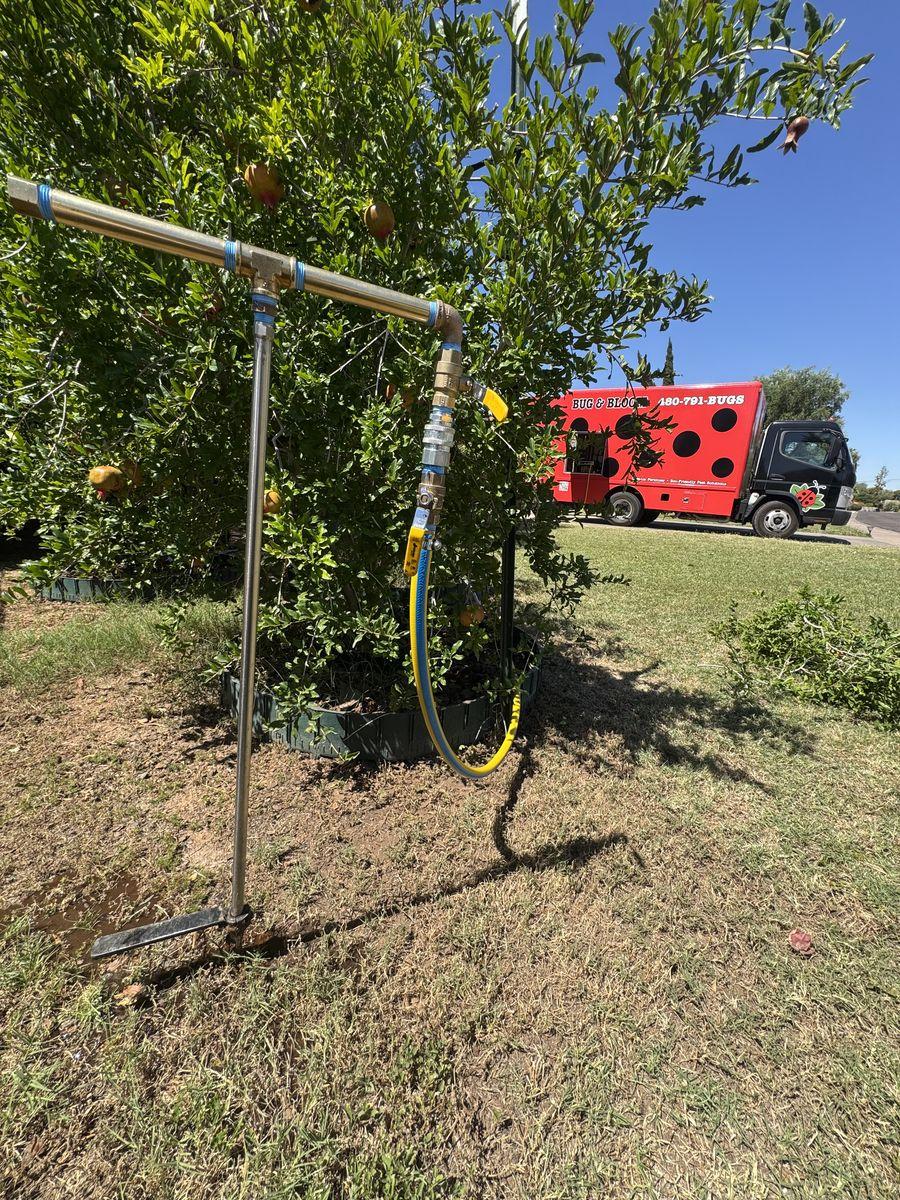 Tree Fertilizing gallery image 3