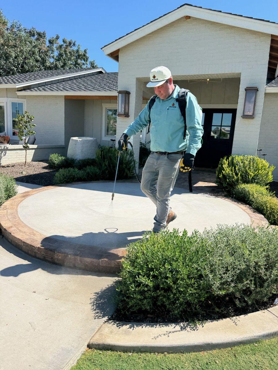 Mosquito Control gallery image 2
