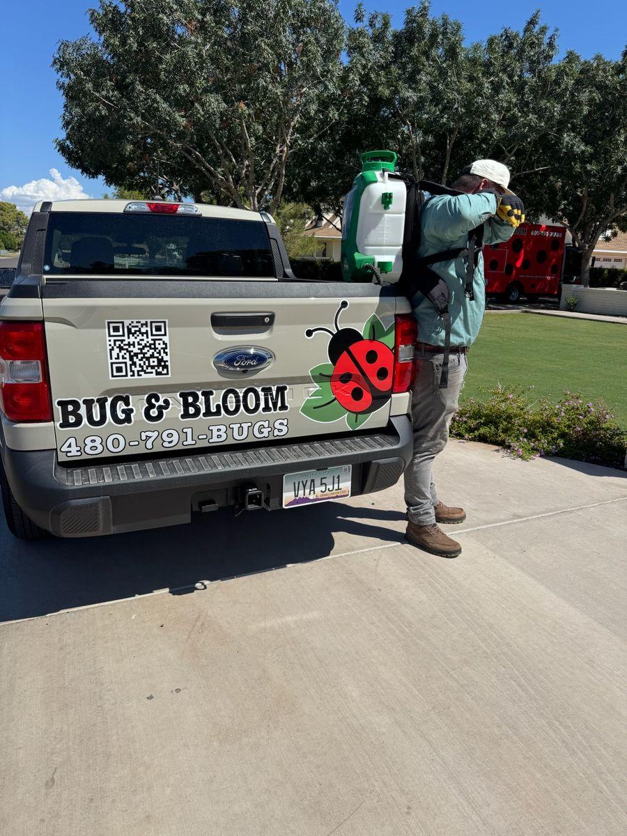 Mosquito Control gallery image 3