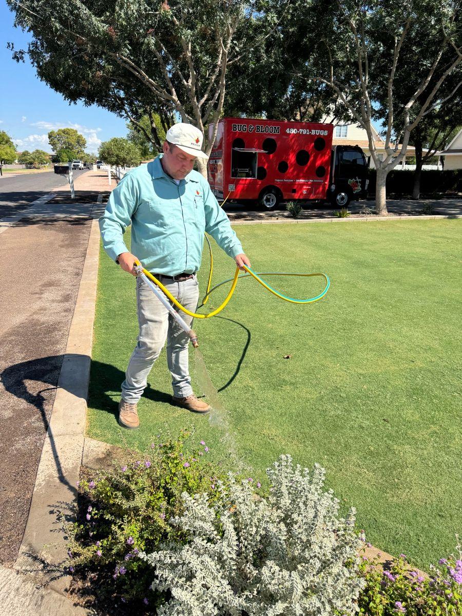 Mosquito Control gallery image 4