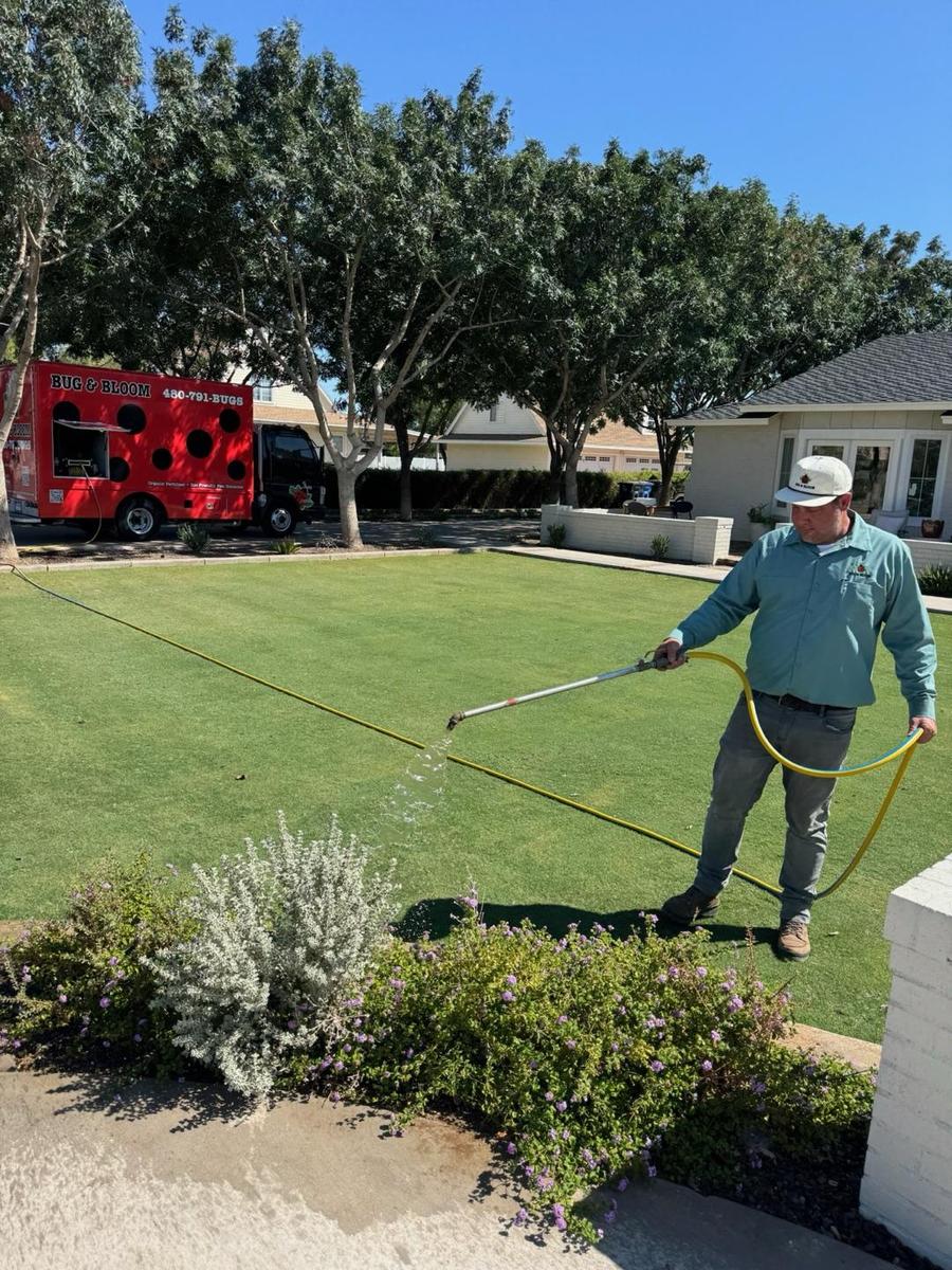 Year-Round Vegetable Gardening in Gilbert AZ