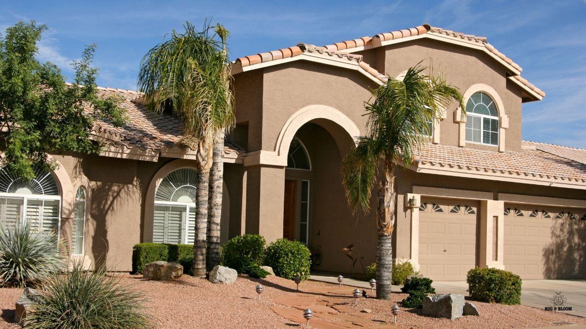 Mesa home with clean desert gravel landscaping and palms